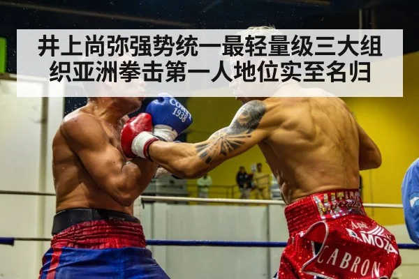 boxing fight action