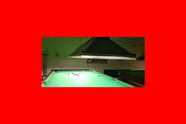 游泳世界杯上海站潘展乐100自冲金与波波维奇巅峰对决全解析